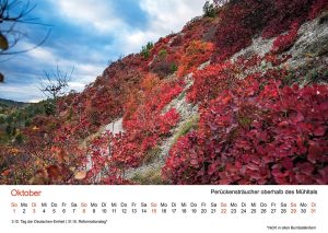 Jena Foto-Kalender "Jenaer Fotomomente 2023", Oktober – Perückensträucher oberhalb des Mühltals