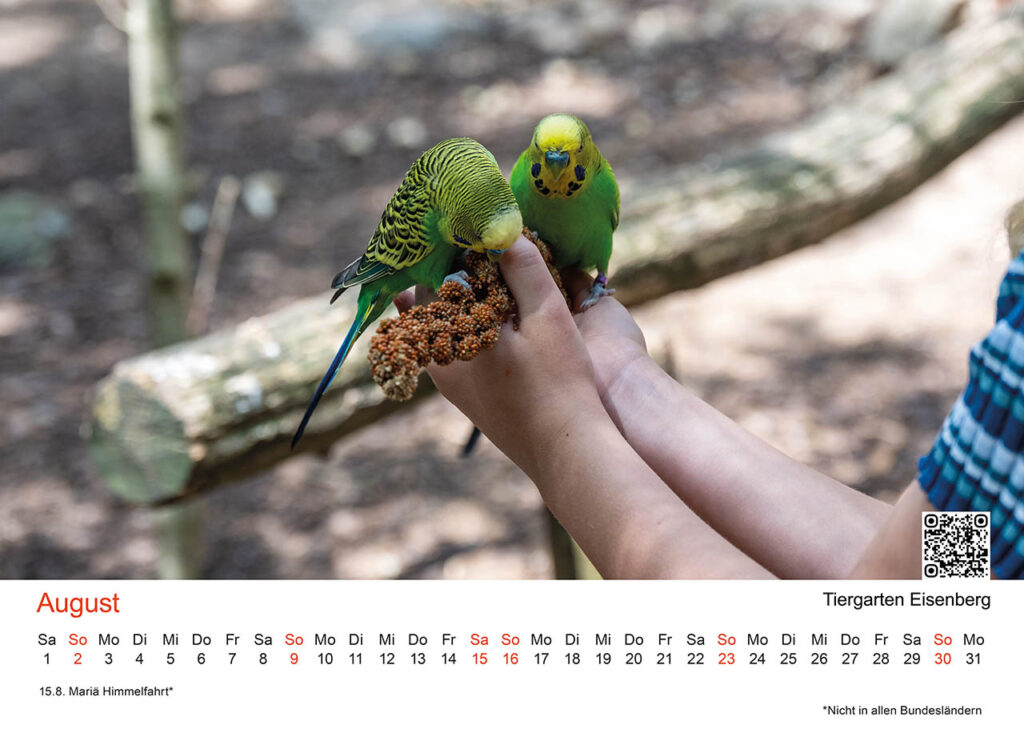 August: Tiergarten Eisenberg – Familienabenteuer und Tierbegegnungen