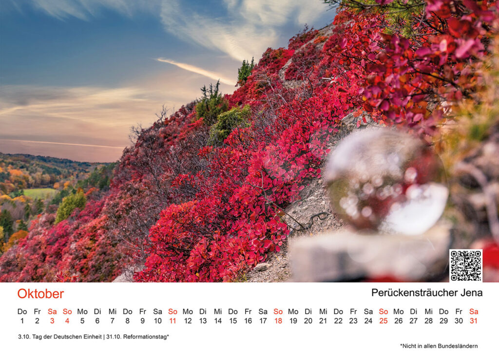 Oktober: Perückensträucher Jena – Farbenpracht im Herbst