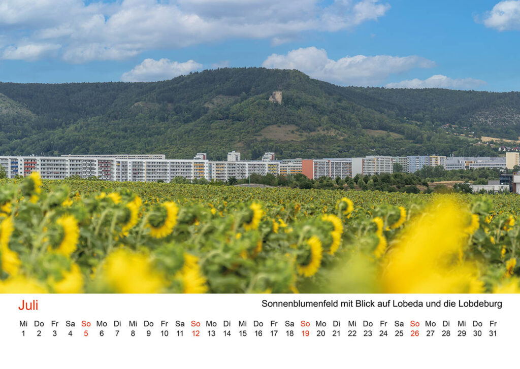 Jena Fotokalender 2026. Juli – Mitten im Sonnenblumenfeld mit Blick auf Lobeda und die Lobdeburg.
